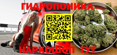 гашик Краснознаменск