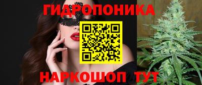 гашик Краснознаменск